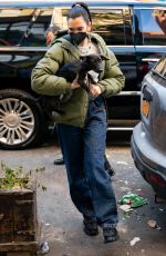 DUA LIPA Out with Her Dog in New York 12/15/2020