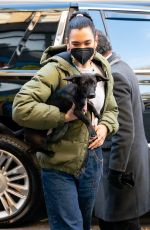 DUA LIPA Out with Her Dog in New York 12/15/2020