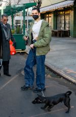 DUA LIPA Out with Her Dog in New York 12/15/2020