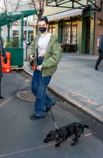 DUA LIPA Out with Her Dog in New York 12/15/2020