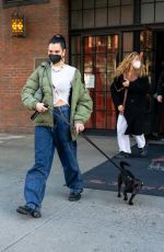 DUA LIPA Out with Her Dog in New York 12/15/2020
