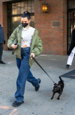 DUA LIPA Out with Her Dog in New York 12/15/2020
