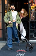 DUA LIPA Out with Her Dog in New York 12/15/2020
