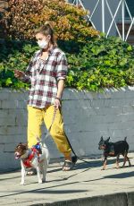 ELISABETTA CANALIS Out with Her Dogs in Beverly Hills 12/13/2020