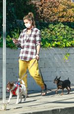 ELISABETTA CANALIS Out with Her Dogs in Beverly Hills 12/13/2020