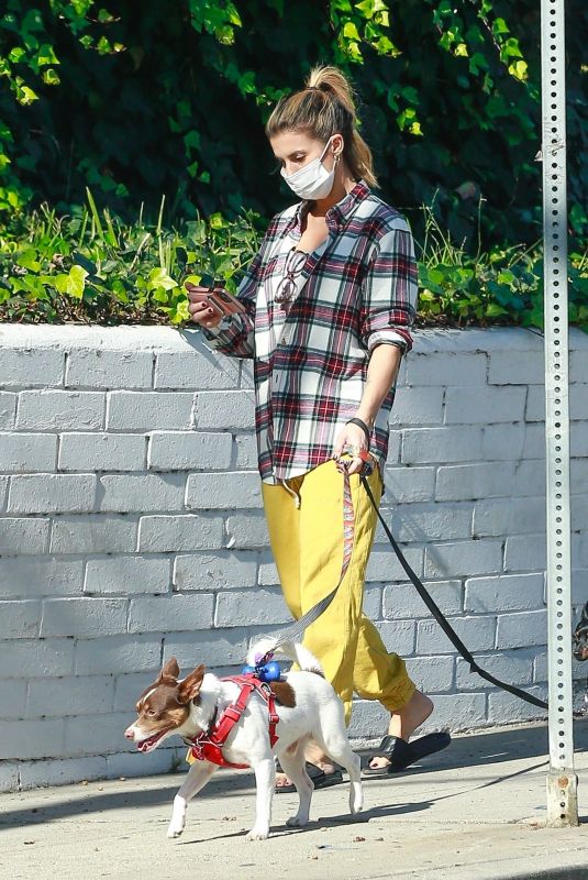 ELISABETTA CANALIS Out with Her Dogs in Beverly Hills 12/13/2020