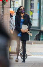 FAMKE JANSSEN Out and About New York 12/12/2020
