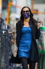 FAMKE JANSSEN Out and About New York 12/12/2020