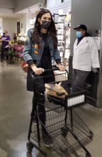 FAMKE JANSSEN Out Shopping in New York 12/24/2020