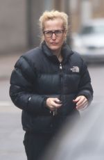 GILLIAN ANDERSON Out and About in London 12/18/2020