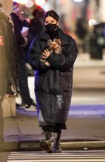HAILEE STEINFELD Out with her Dog in New York 12/09/2020