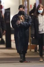 HAILEE STEINFELD Out with her Dog in New York 12/09/2020