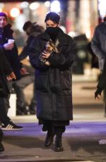 HAILEE STEINFELD Out with her Dog in New York 12/09/2020