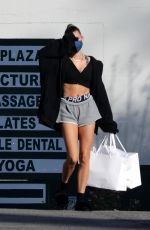 HAILEY BIEBER in Shorts Out and About in Los Angeles 12/26/2020