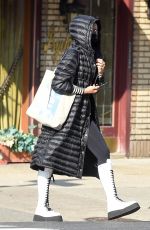 IRINA SHAYK Out Shopping in New York 12/11/2020