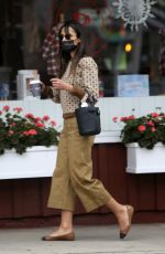 JORDANA BREWSTER and Andrew Form Out for Coffe in Brentwood 12/24/2020