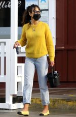 JORDANA BREWSTER and Andrew Form Out for Grocery Shopping in Brentwood 12/28/2020