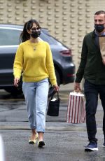 JORDANA BREWSTER and Andrew Form Out for Grocery Shopping in Brentwood 12/28/2020