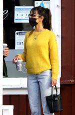 JORDANA BREWSTER and Andrew Form Out for Grocery Shopping in Brentwood 12/28/2020