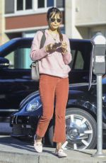 JORDANA BREWSTER Out in Los Angeles 11/28/2020
