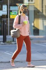 JORDANA BREWSTER Out in Los Angeles 11/28/2020