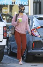 JORDANA BREWSTER Out in Los Angeles 11/28/2020