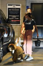 JORDANA BREWSTER Picking Up Her Dog from Vet in Santa Monica 12/08/2020