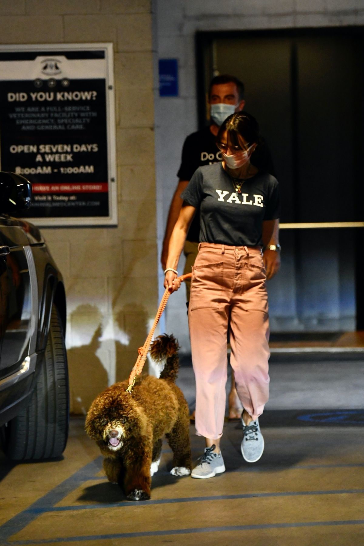 JORDANA BREWSTER Picking Up Her Dog from Vet in Santa Monica 12/08/2020 ...