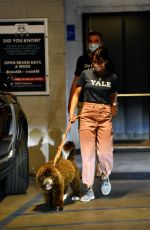 JORDANA BREWSTER Picking Up Her Dog from Vet in Santa Monica 12/08/2020