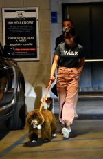 JORDANA BREWSTER Picking Up Her Dog from Vet in Santa Monica 12/08/2020