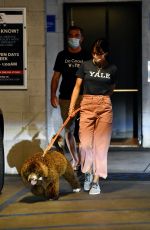 JORDANA BREWSTER Picking Up Her Dog from Vet in Santa Monica 12/08/2020