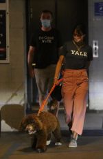 JORDANA BREWSTER Picking Up Her Dog from Vet in Santa Monica 12/08/2020