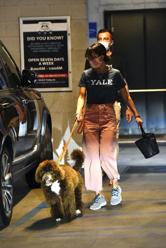 JORDANA BREWSTER Picking Up Her Dog from Vet in Santa Monica 12/08/2020