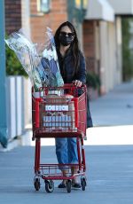 JORDANA BREWSTER Shopping at Trader Joe