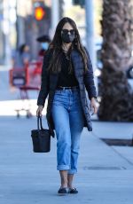 JORDANA BREWSTER Shopping at Trader Joe
