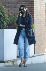 JORDANA BREWSTER Shopping at Trader Joe