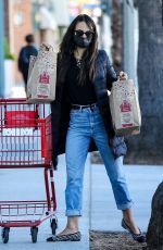 JORDANA BREWSTER Shopping at Trader Joe