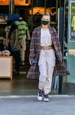 JOSIE CANSECO Out Shopping on Melrose Avenue in Los Angeles 12/27/2020