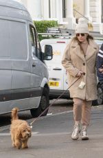 KELLY BROOK and Jeremy Parisi Out with Their Dog in London 12/01/2020