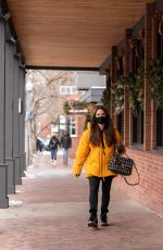 KYLE RICHARDS Out and About in Aspen 12/27/2020