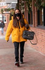 KYLE RICHARDS Out and About in Aspen 12/27/2020