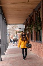 KYLE RICHARDS Out and About in Aspen 12/27/2020