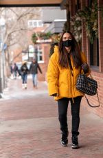 KYLE RICHARDS Out and About in Aspen 12/27/2020