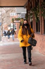 KYLE RICHARDS Out and About in Aspen 12/27/2020