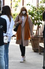 LAURA DERN Out and About in Brentwood 12/13/2020