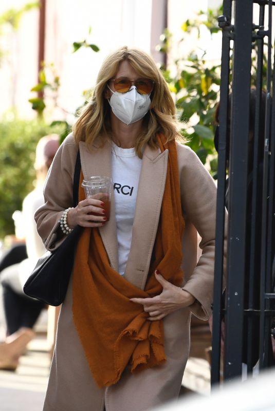 LAURA DERN Out and About in Brentwood 12/13/2020