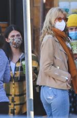 LAURA DERN Out for Juice in Los Angeles 12/06/2020
