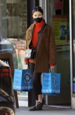 LILY COLLINS Leaves Pet Store in West Hollywood 12/17/2020