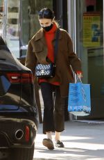 LILY COLLINS Leaves Pet Store in West Hollywood 12/17/2020