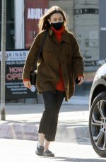 LILY COLLINS Leaves Pet Store in West Hollywood 12/17/2020